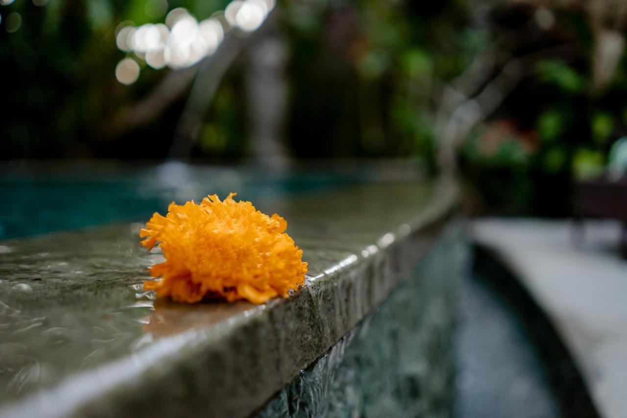 D'Bale Ananda Ubud Villa Εξωτερικό φωτογραφία