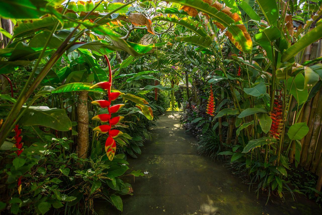 D'Bale Ananda Ubud Villa Εξωτερικό φωτογραφία