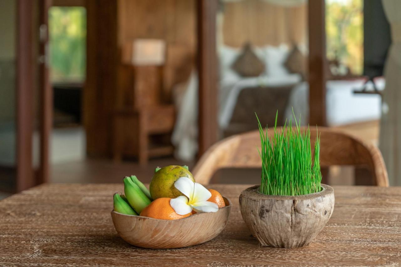 D'Bale Ananda Ubud Villa Εξωτερικό φωτογραφία
